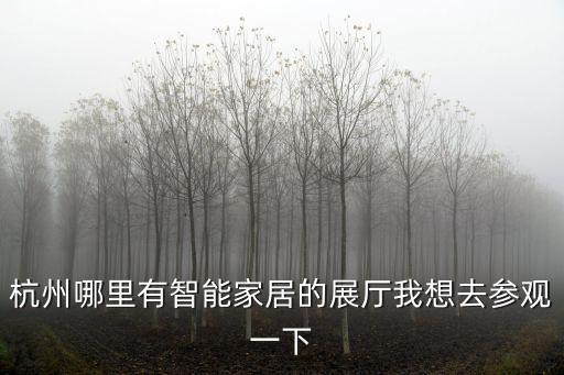 杭州哪里有智能家居的展廳我想去參觀一下