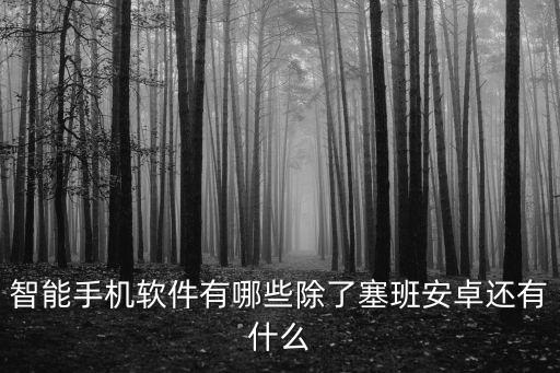 智能手機(jī)軟件有哪些除了塞班安卓還有什么