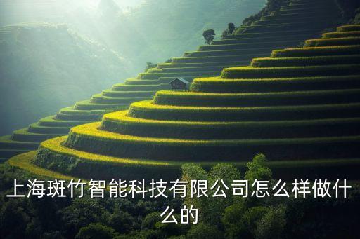 上海斑竹智能科技有限公司怎么樣做什么的
