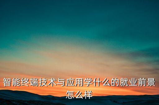 智能終端技術(shù)與應(yīng)用學(xué)什么的就業(yè)前景怎么樣