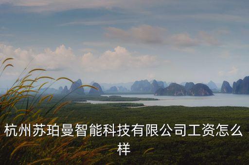 杭州蘇珀曼智能科技有限公司工資怎么樣