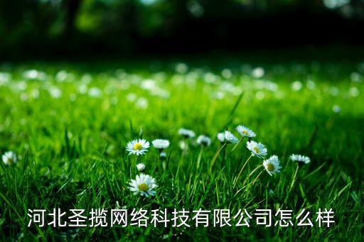 河北圣攬網(wǎng)絡(luò)科技有限公司怎么樣