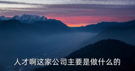 人才啊這家公司主要是做什么的