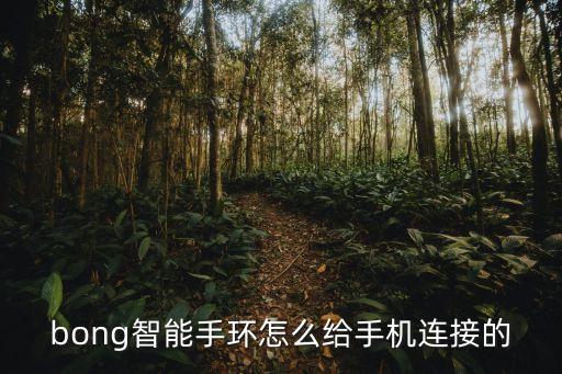 bong智能手環(huán)怎么給手機(jī)連接的