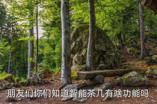朋友們你們知道智能茶幾有啥功能嗎
