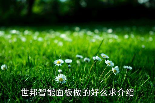 世邦智能面板做的好么求介紹