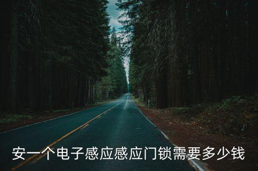 智能安防科技門鎖多少錢，想問你摩德隆智能電子門鎖質量怎么樣價位是多少錢一把你用