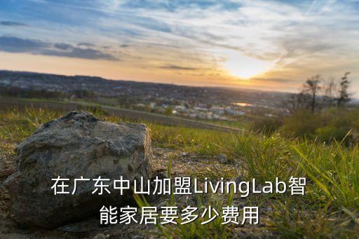 在廣東中山加盟LivingLab智能家居要多少費用
