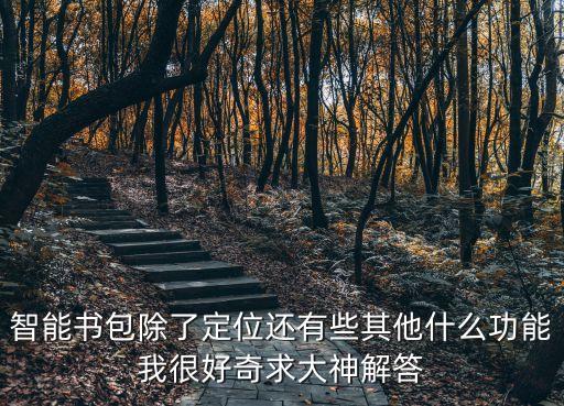 智能書包除了定位還有些其他什么功能我很好奇求大神解答