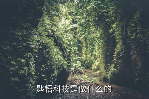 齊悟智能科技怎么樣，匙悟科技是做什么的