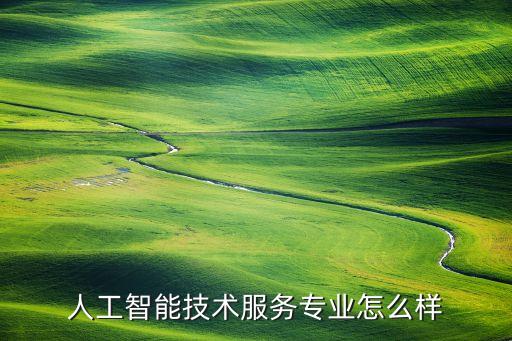 人工智能技術(shù)服務(wù)專業(yè)怎么樣