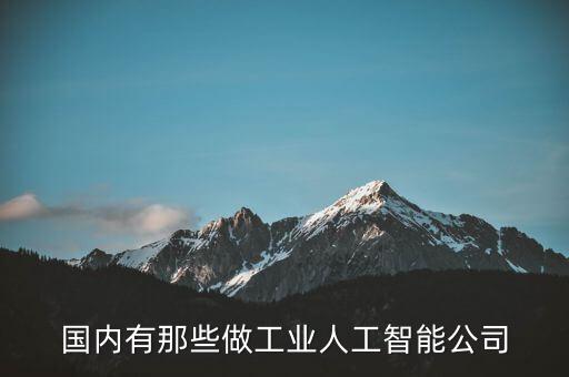 國內(nèi)有那些做工業(yè)人工智能公司