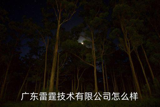 廣東雷霆技術(shù)有限公司怎么樣