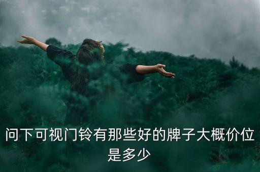 問下可視門鈴有那些好的牌子大概價位是多少