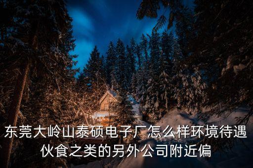 東莞大嶺山泰碩電子廠怎么樣環(huán)境待遇伙食之類的另外公司附近偏