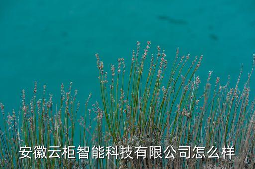 安徽云柜智能科技有限公司怎么樣