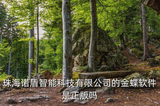 諾盾智能科技是做什么，珠海諾盾智能科技有限公司的金蝶軟件是正版嗎