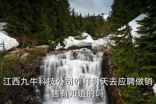 江西九?？萍脊菊用魈烊?yīng)聘做銷(xiāo)售有知道的嗎