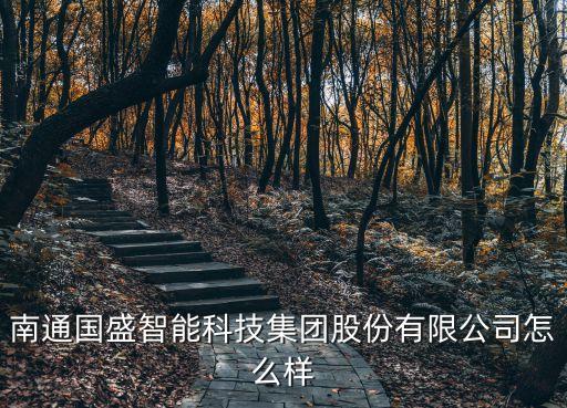 南通國(guó)盛智能科技集團(tuán)股份有限公司怎么樣