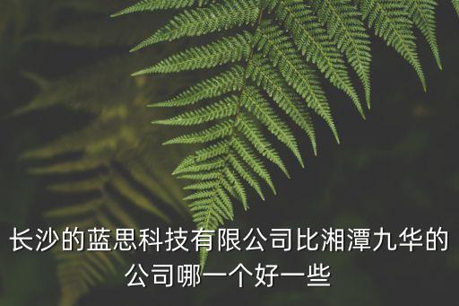 長沙的藍(lán)思科技有限公司比湘潭九華的公司哪一個好一些
