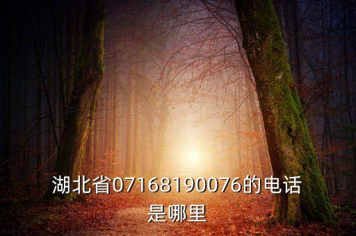 湖北高科技智能家居電話多少，湖北省07168190076的電話是哪里