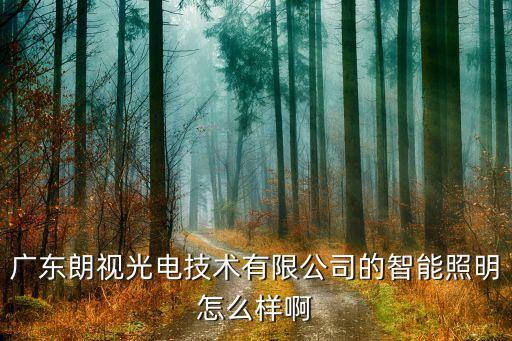 廣東朗視光電技術(shù)有限公司的智能照明怎么樣啊