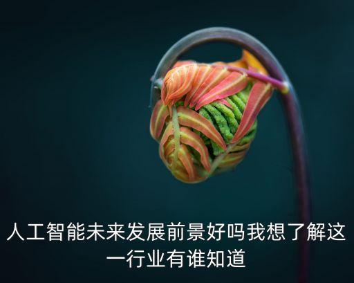 人工智能未來發(fā)展前景好嗎我想了解這一行業(yè)有誰知道
