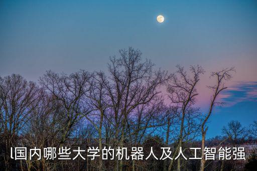 l國(guó)內(nèi)哪些大學(xué)的機(jī)器人及人工智能強(qiáng)
