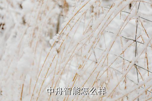 中冠智能科技穿什么衣服，蘇州三星電子有限公司穿什么衣服