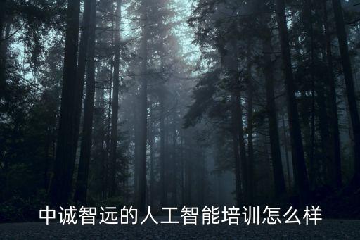 中誠(chéng)智遠(yuǎn)的人工智能培訓(xùn)怎么樣