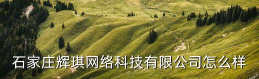 石家莊輝琪網絡科技有限公司怎么樣