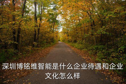深圳博銘維智能是什么企業(yè)待遇和企業(yè)文化怎么樣