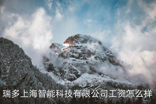 瑞多上海智能科技有限公司工資怎么樣