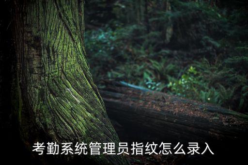 考勤系統(tǒng)管理員指紋怎么錄入
