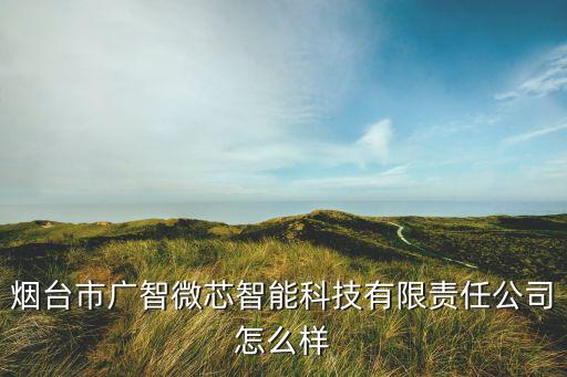 煙臺(tái)市廣智微芯智能科技有限責(zé)任公司怎么樣