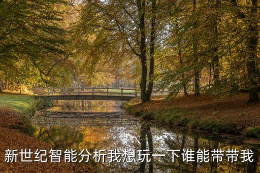 新世紀(jì)智能分析我想玩一下誰能帶帶我