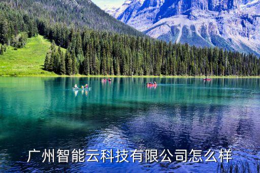 廣州智能云科技有限公司怎么樣