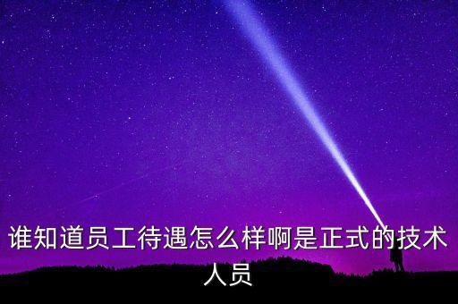 誰知道員工待遇怎么樣啊是正式的技術(shù)人員
