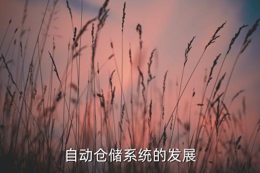 自動倉儲系統(tǒng)的發(fā)展