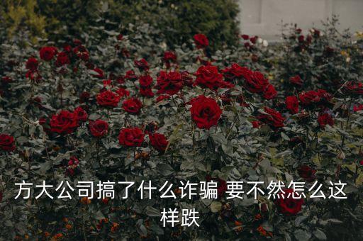 方大智能科技集團做什么的，方大集團上海分公司怎么樣