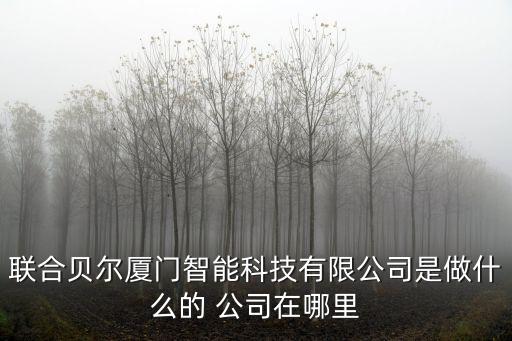 廈門智能科技有哪些公司，廈門有哪些做弱電智能化安防的公司