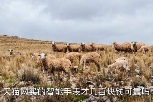 天貓網(wǎng)買(mǎi)的智能手表才幾百塊錢(qián)可靠嗎