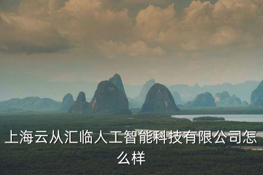 上海云從匯臨人工智能科技有限公司怎么樣