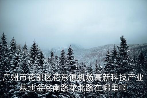廣州市花都區(qū)花東鎮(zhèn)機(jī)場(chǎng)高新科技產(chǎn)業(yè)基地金谷南路花北路在哪里啊