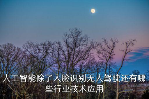 人工智能除了人臉識(shí)別無人駕駛還有哪些行業(yè)技術(shù)應(yīng)用