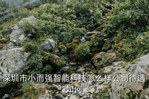 深圳市小而強(qiáng)智能科技怎么樣公司待遇如何