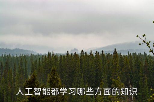 人工智能都學(xué)習(xí)哪些方面的知識