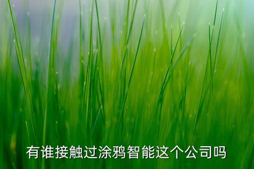 涂鴉智能科技市值多少錢，國內有一家叫涂鴉智能的公司怎么樣