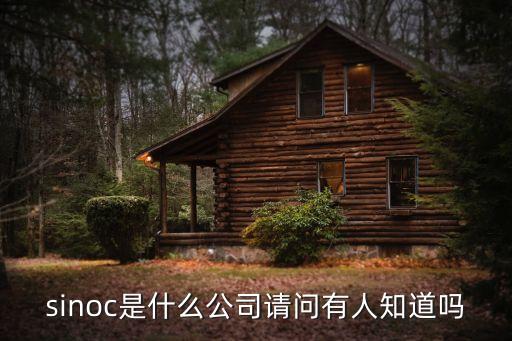 sinoc是什么公司請問有人知道嗎