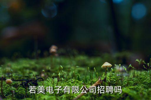 若美電子有限公司招聘嗎